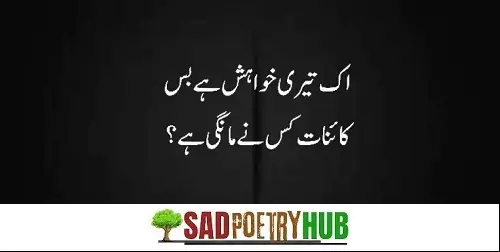 Life Sad Poetry In Urdu in 2 Lines Copy Paste best Chance