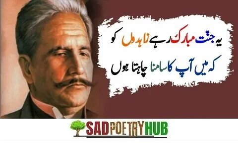 2-Line Allama Iqbal Poetry In Urdu Collection For Serious Reader