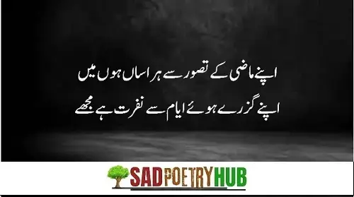 Sad Shayari in Roman Urdu Text With Images Just Copy Paste