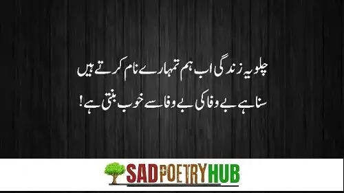 Sad Shayari in Roman Urdu Text With Images Just Copy Paste