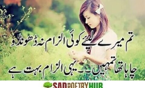 Love Poetry In Urdu Text in Romantic Mode For Lovers 2024