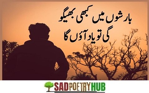 Best Shayari in Urdu & Poetry Ideas For Tiktok & FaceBook