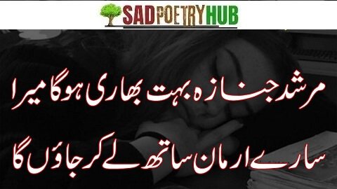 Best Attitude Poetry in Urdu Shayari Collection