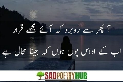 Best Attitude Poetry in Urdu Shayari Collection