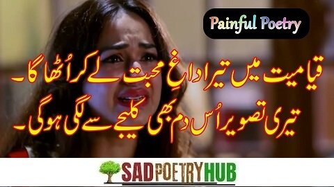 Best Attitude Poetry in Urdu Shayari Collection