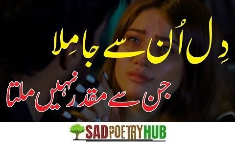 2 Lines Urdu Poetry Copy Paste in your PHONE & Send Now