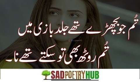 2 Lines Urdu Poetry Copy Paste in your PHONE & Send Now