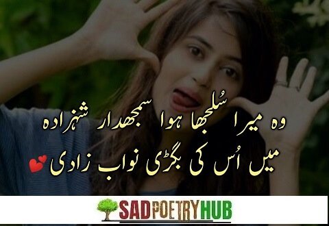 2 Lines Urdu Poetry Copy Paste in your PHONE & Send Now