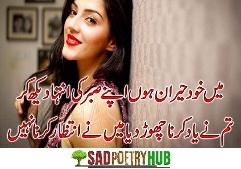 30+ Poetry In Urdu 2 Lines Deep Emotional Roman Words