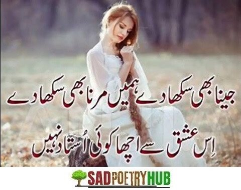 Best Shayari in Urdu & Poetry Ideas For Tiktok & FaceBook