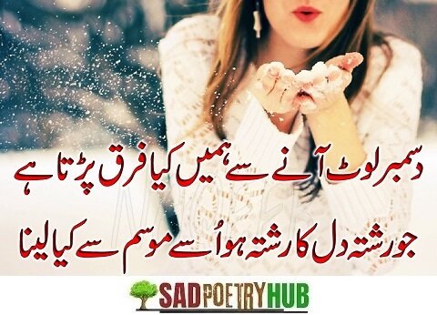 Best Shayari in Urdu & Poetry Ideas For Tiktok & FaceBook