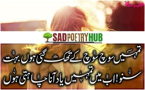 Best Shayari in Urdu & Poetry Ideas For Tiktok & FaceBook