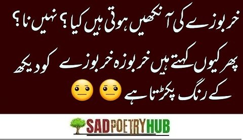 200+ Funny Poetry In Urdu - Most Funny Urdu Latifay 2024