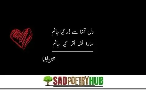 Jaun Elia Shayari Collection Images on Text For Copy Paste