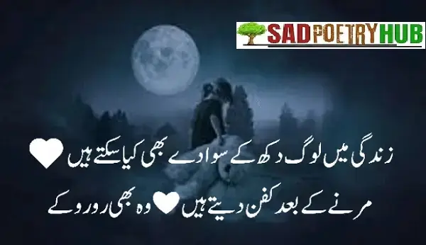 10+Sad Poetry Snaps With Urdu & Hindi TEXT For Social Media