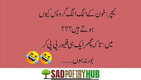 200+ Funny Quotes In Urdu - Most Funny Urdu Latifay 2024