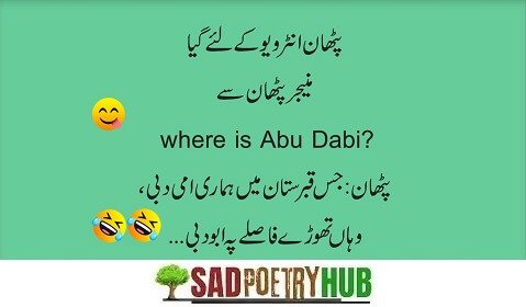 200+ Funny Quotes In Urdu - Most Funny Urdu Latifay 2024