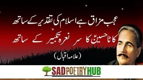 2-Line Allama Iqbal Poetry In Urdu Collection For Serious Reader