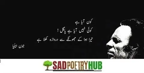 100+ Sad John Elia Sad Shayari With Best Poetry Words