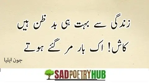 100+ Sad John Elia Sad Shayari With Best Poetry Words