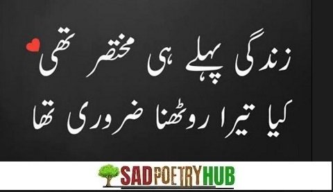 John Elia Quotes With Sad Poetry/Dukhi Shayari Unbeatable