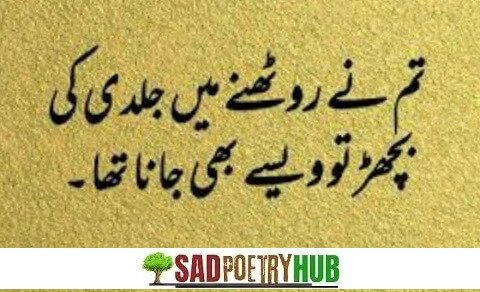 John Elia Quotes With Sad Poetry/Dukhi Shayari Unbeatable