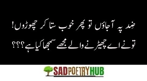 John Elia Quotes With Sad Poetry/Dukhi Shayari Unbeatable