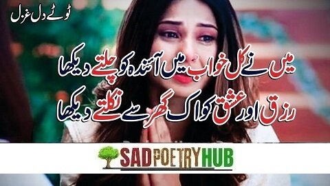 Badmashi Poetry In Urdu 2 Lines Text On DP Images 2024