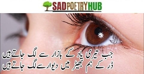 Badmashi Poetry In Urdu 2 Lines Text On DP Images 2024