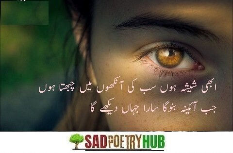 Badmashi Poetry In Urdu 2 Lines Text On DP Images 2024