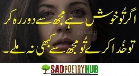 Badmashi Poetry In Urdu 2 Lines Text On DP Images 2024