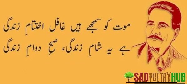 Best Allama Iqbal Poetry & 2 Line Shayari in Roman Urdu Text