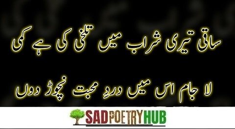 Swag Attitude Poetry In Urdu 2 Lines Text Reflect Mirror The Pain