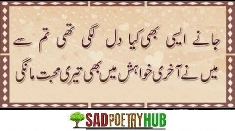 Swag Attitude Poetry In Urdu 2 Lines Text Reflect Mirror The Pain