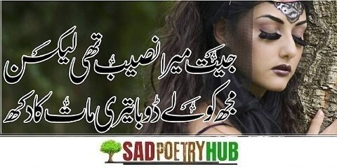 Best Romantic Poetry In Urdu Express Beauty of Sad Love