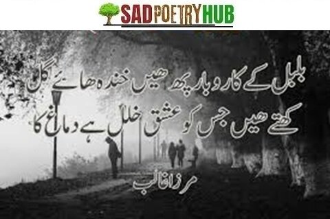 2 Lines Deep Emotional Roman Words Poetry In Urdu 2025