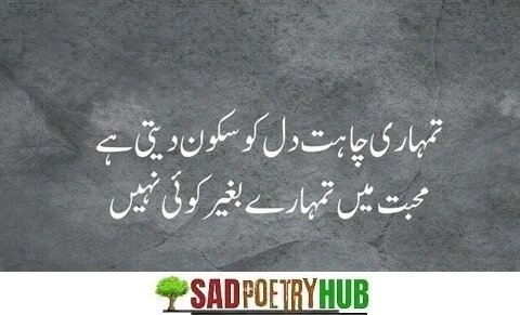 2 Lines Deep Emotional Roman Words Poetry In Urdu 2025