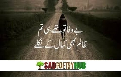 2 Lines Deep Emotional Roman Words Poetry In Urdu 2025