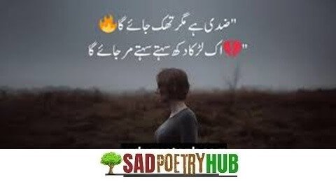 2 Lines Deep Emotional Roman Words Poetry In Urdu 2025