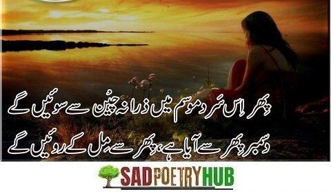 Best Poetry On December Rain In Urdu & Roman Urdu Shayari