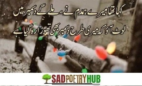 Best Poetry On December Rain In Urdu & Roman Urdu Shayari