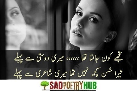 90+ Heart Touching Emotional Friendship Shayari In Urdu