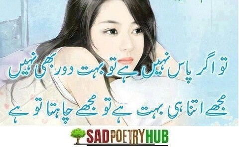 90+ Heart Touching Emotional Friendship Shayari In Urdu