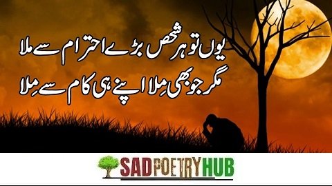 90+ Heart Touching Emotional Friendship Shayari In Urdu