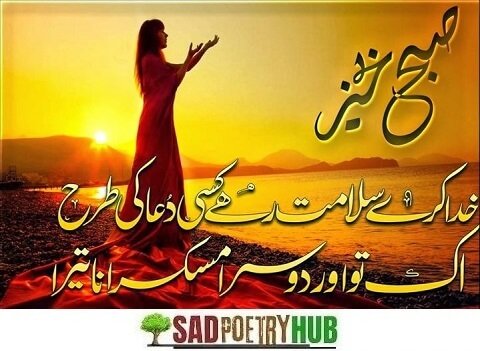 Awaken Your Spirit with Good Morning Shayari