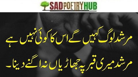 Awaken Your Spirit with Good Morning Shayari