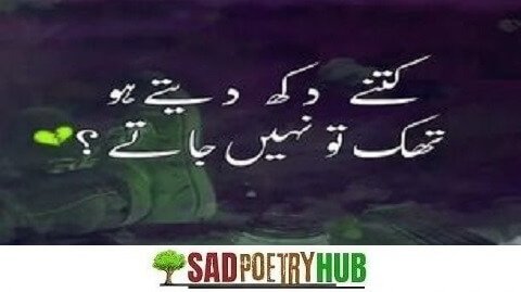 Awaken Your Spirit with Good Morning Shayari