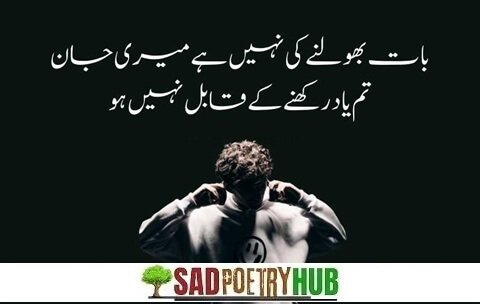 Best Attitude Poetry in Urdu 2 Lines Text Collection 2025