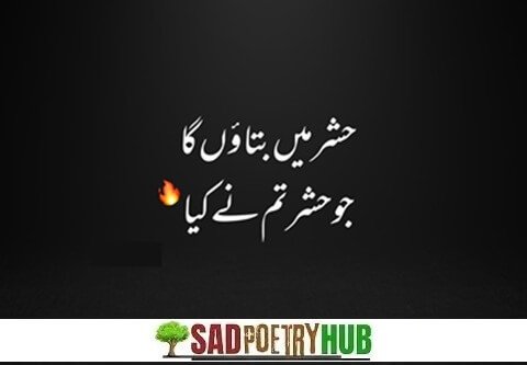 Best Attitude Poetry in Urdu 2 Lines Text Collection 2025
