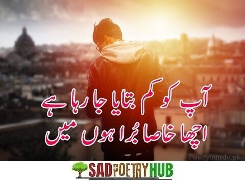 Best Attitude Poetry in Urdu 2 Lines Text Collection 2025